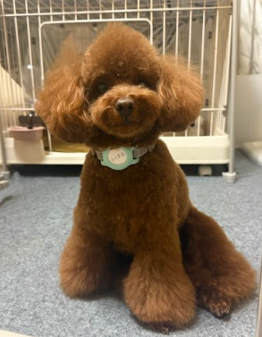 現在のふくまるくんの写真